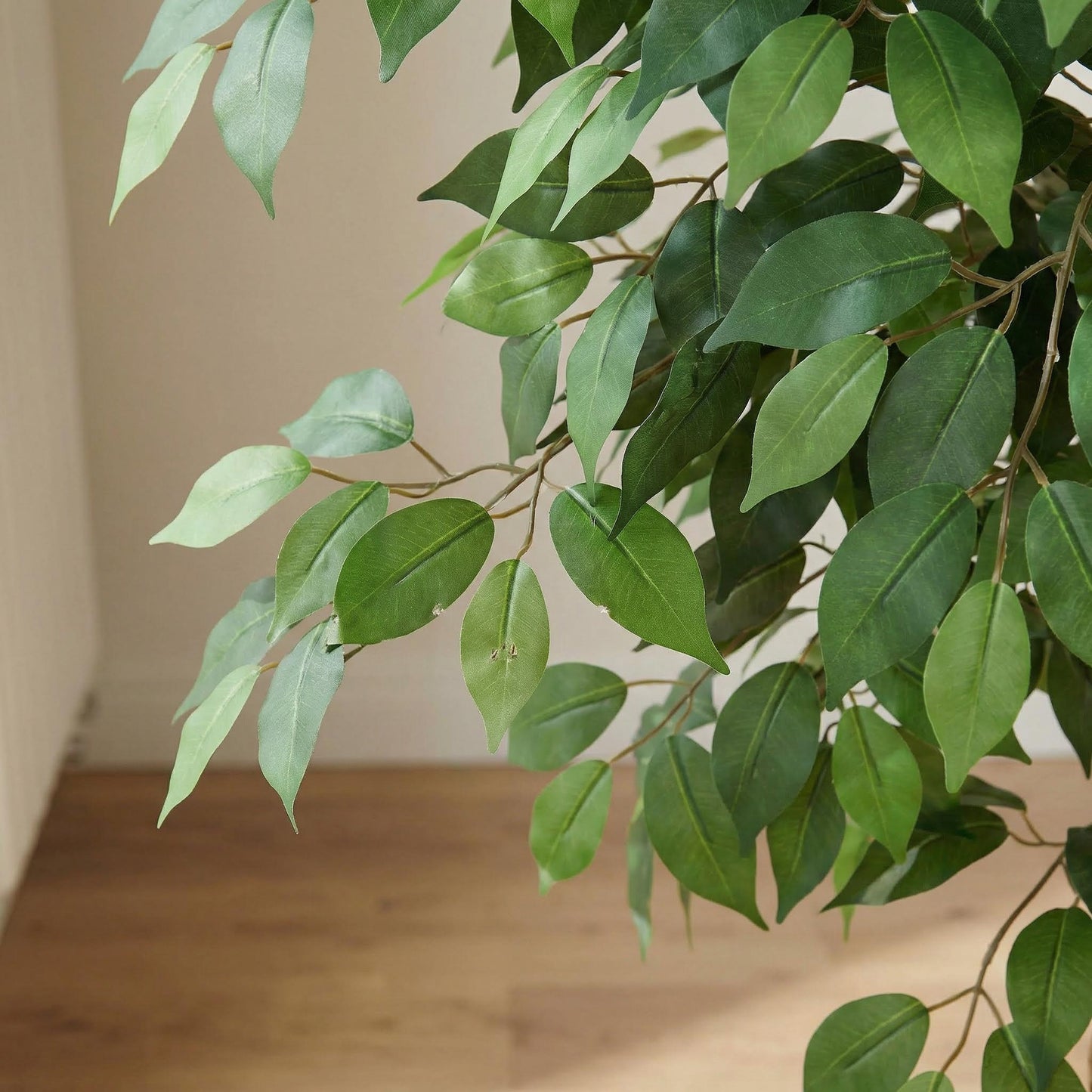 Künstlicher Ficus Nitida 180 cm