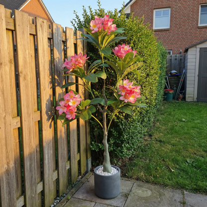 Künstlicher Plumeria-Baum Rosa 120 cm mit Dekotopf