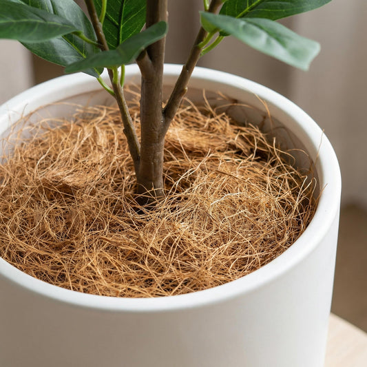 Kokosfasern als Pflanzendekoration