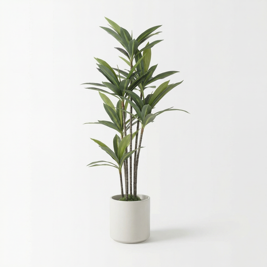 Künstliche Yucca Dracaena 180 cm