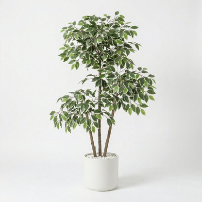 Künstlicher Ficus Benjamina 150 cm mit Dekotopf