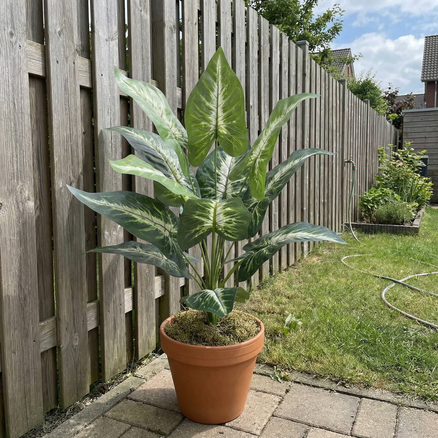 Künstliche Stiele Dieffenbachia Grün-Weiß 45 cm
